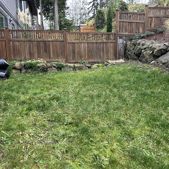 skye-road-landscapes-03