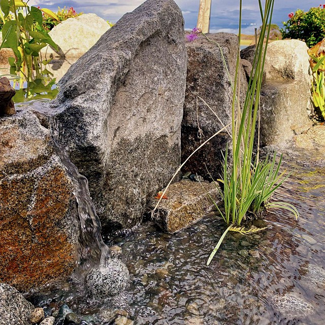 water-feature-garden-design17-1