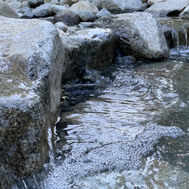yellowpoint-landscaping-project-28
