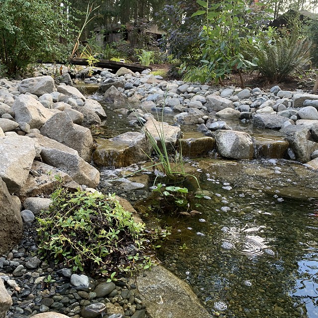 yellowpoint-landscaping-project-29