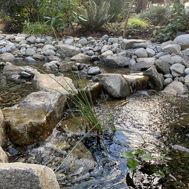 yellowpoint-landscaping-project-30