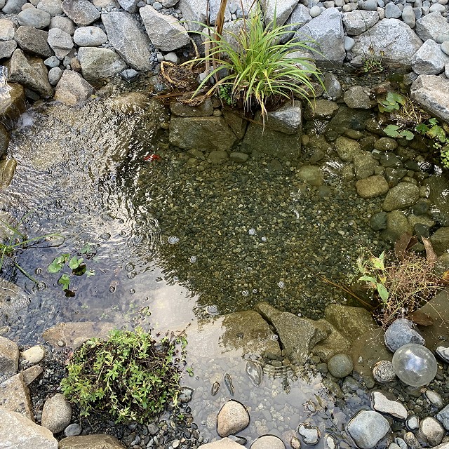 yellowpoint-landscaping-project-31