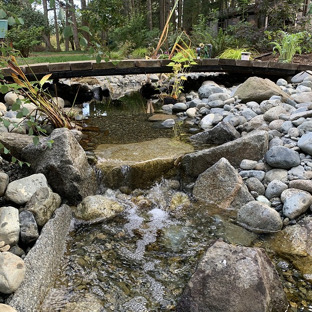 yellowpoint-landscaping-project-33